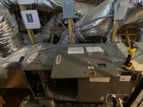 photo 2023-08-10-03.56.27