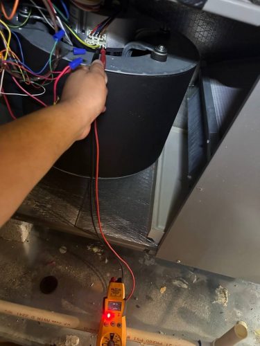 photo 2023-08-10-03.56.29