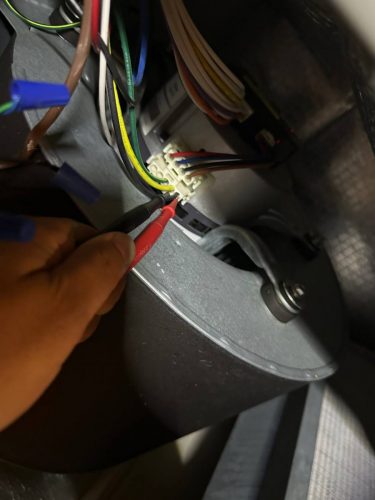 photo 2023-08-10-03.56.30