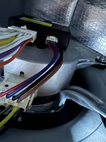 photo 2023-08-10-03.56.32