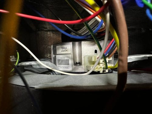 photo 2023-08-10-03.56.33