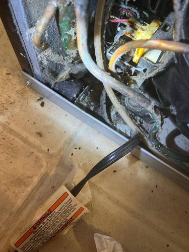 photo 2023-08-10-03.56.34